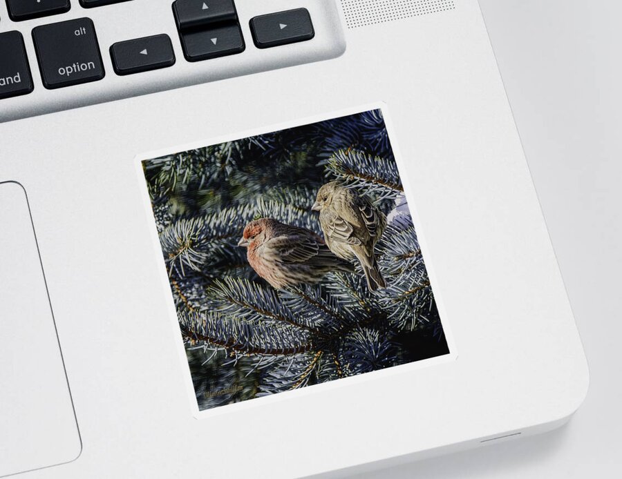 Day Sticker featuring the photograph A Couple of House Finch by LeeAnn McLaneGoetz McLaneGoetzStudioLLCcom