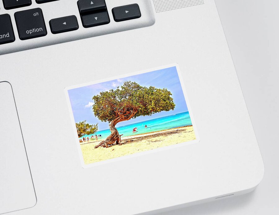 Aruba Sticker featuring the photograph A Day At Eagle Beach by DJ Florek