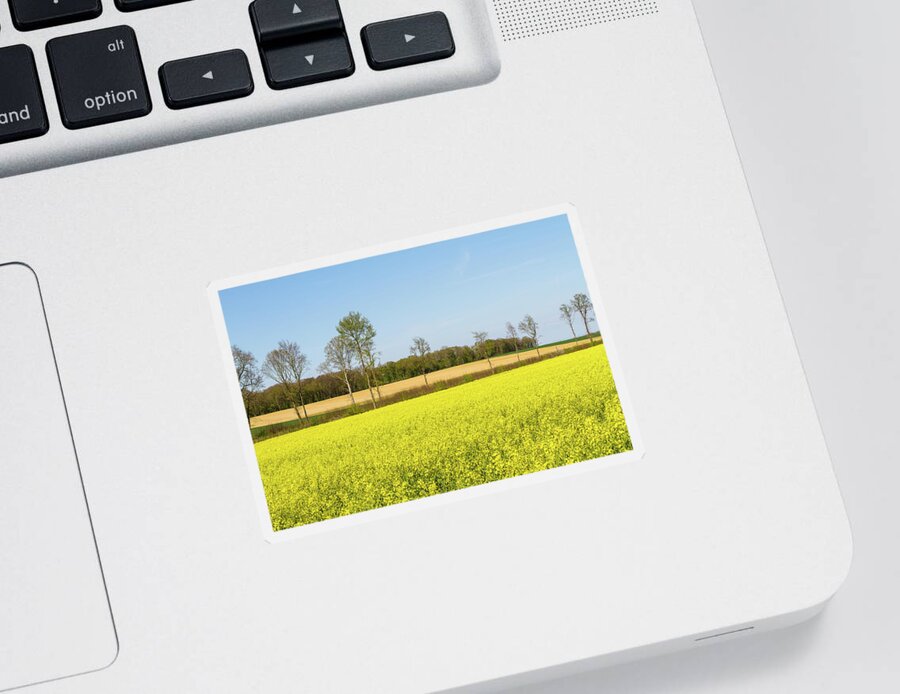 Agricultural Landscape Sticker featuring the photograph A field of rape - 10 by Paul MAURICE
