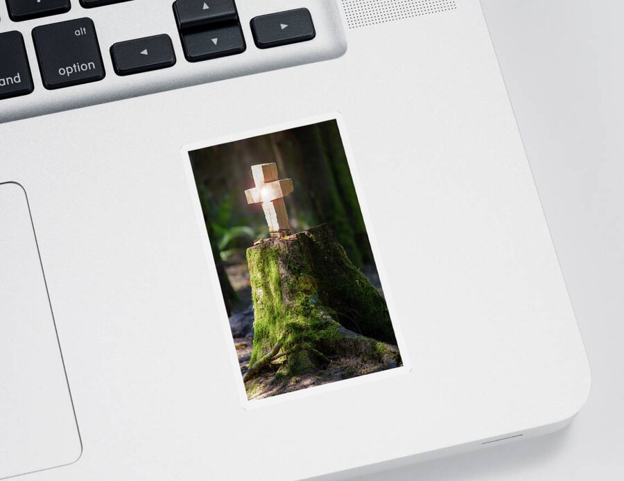 Altar Sticker featuring the photograph A Forest Altar by Tikvah's Hope