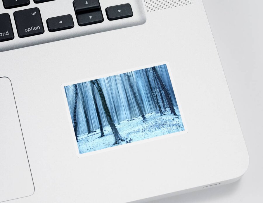 Forest Sticker featuring the photograph A Forest in Winter by David Lichtneker