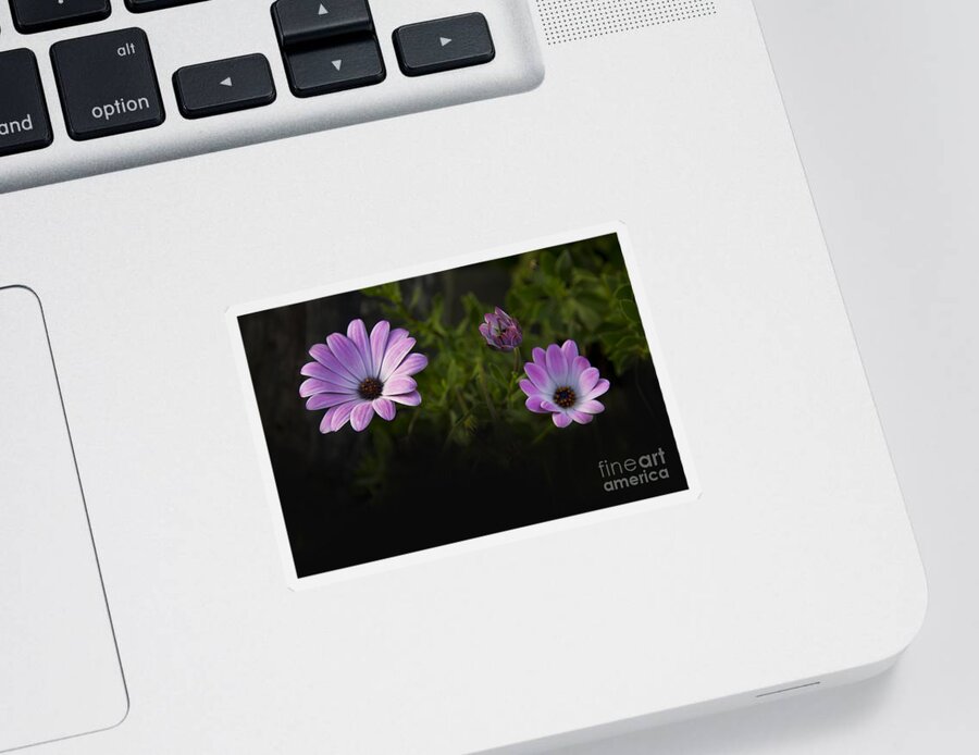 Purple Sticker featuring the photograph A Garden To Remember II by Al Bourassa