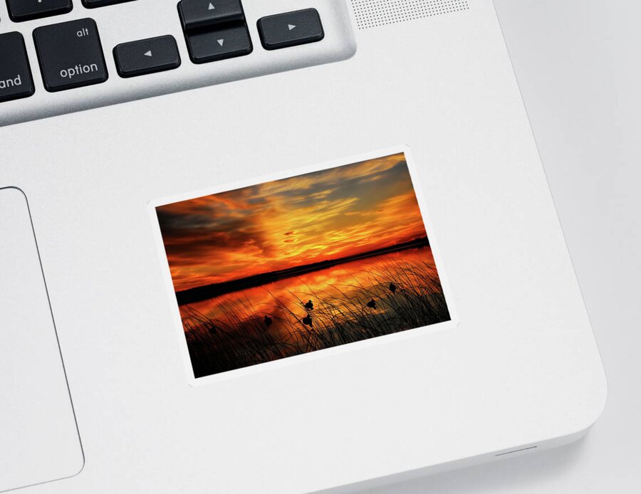 Hunt Sticker featuring the photograph A Golden Sunrise Duck Hunt by Dale Kauzlaric