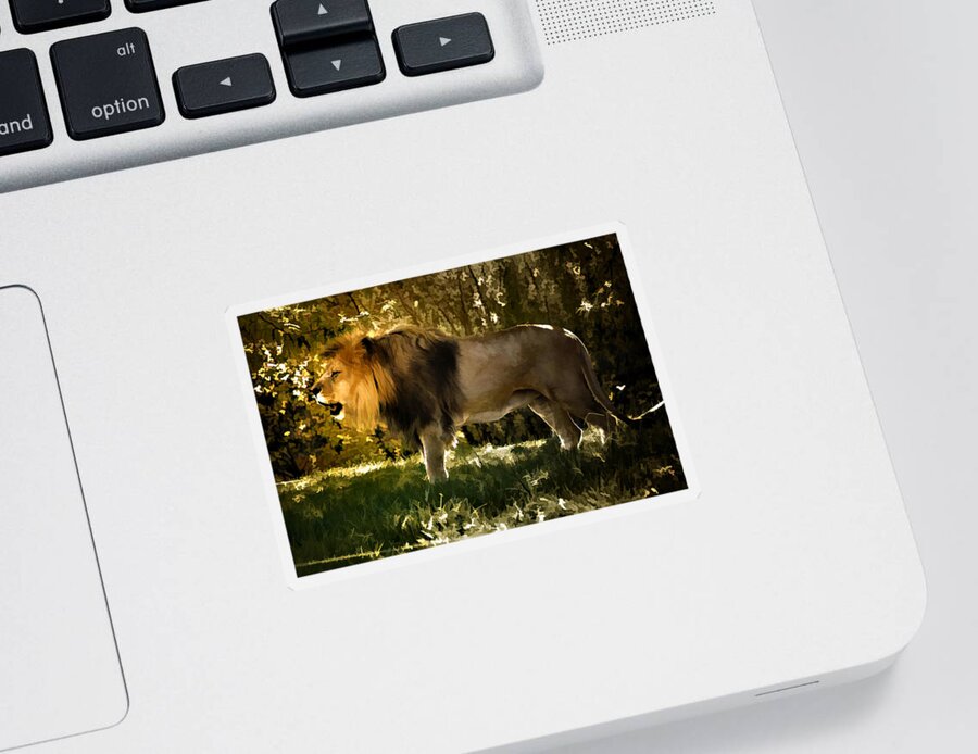 Animal Sticker featuring the photograph A Lion King by Elaine Manley
