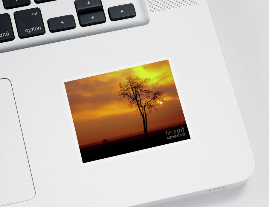 Psi Sticker featuring the photograph A lone tree at sunset by Ezra Zahor