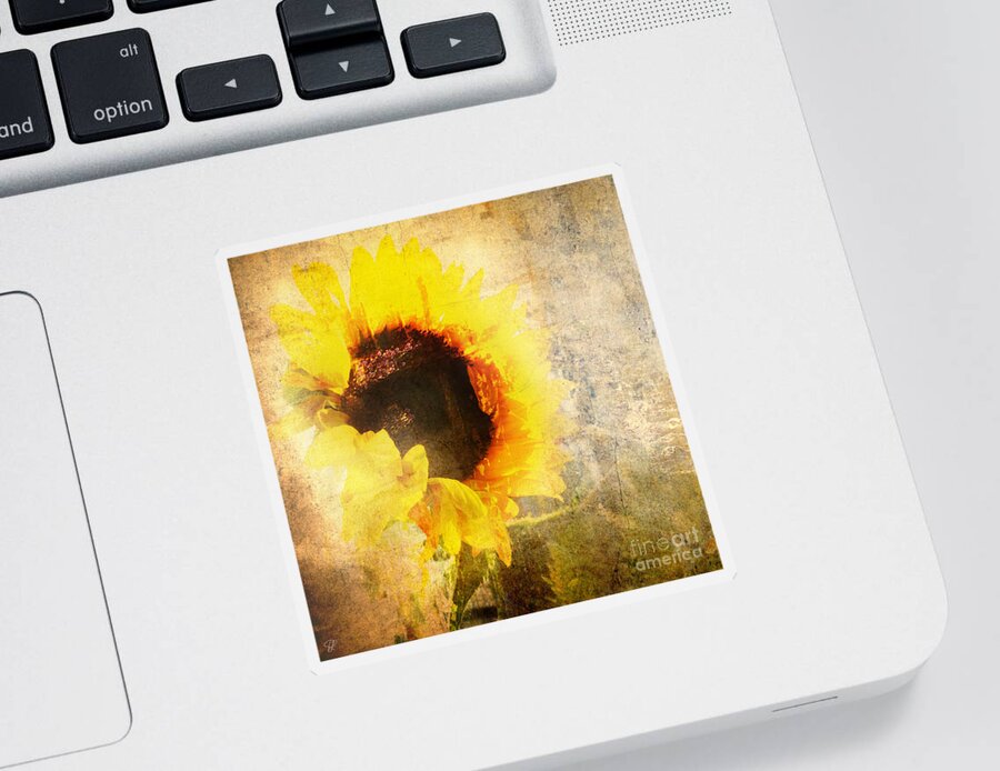 Manipulated Sticker featuring the photograph A Memory of Summer by LemonArt Photography