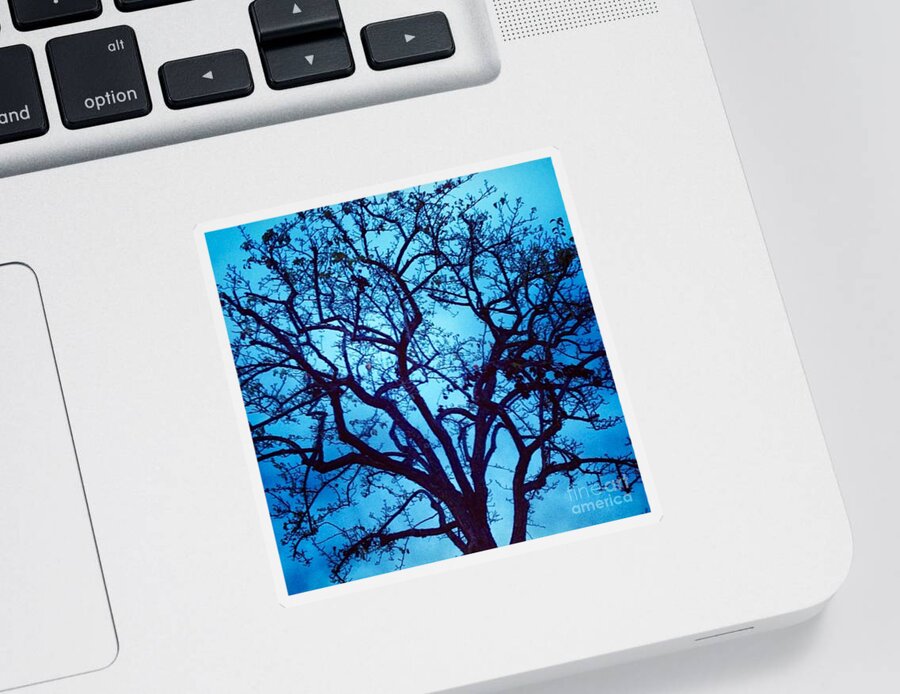 Tree Sticker featuring the photograph A Moody Broad by Denise Railey