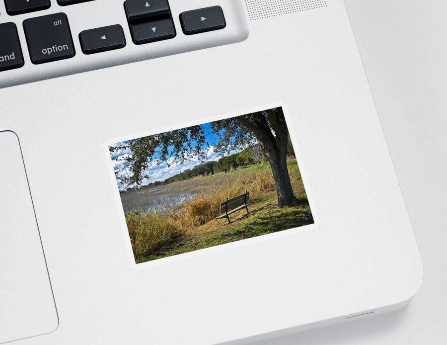 Florida Landscape Sticker featuring the photograph A Peaceful Place by Carolyn Marshall