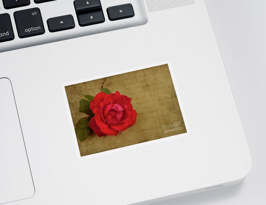 Rose Sticker featuring the photograph A Rose by Any Other Name by Lena Auxier