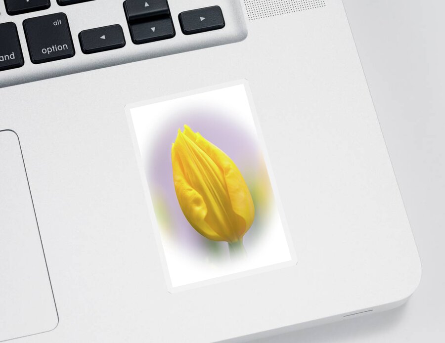 Tulip Sticker featuring the photograph A Tulip in Dandelion Yellow by Carol Senske