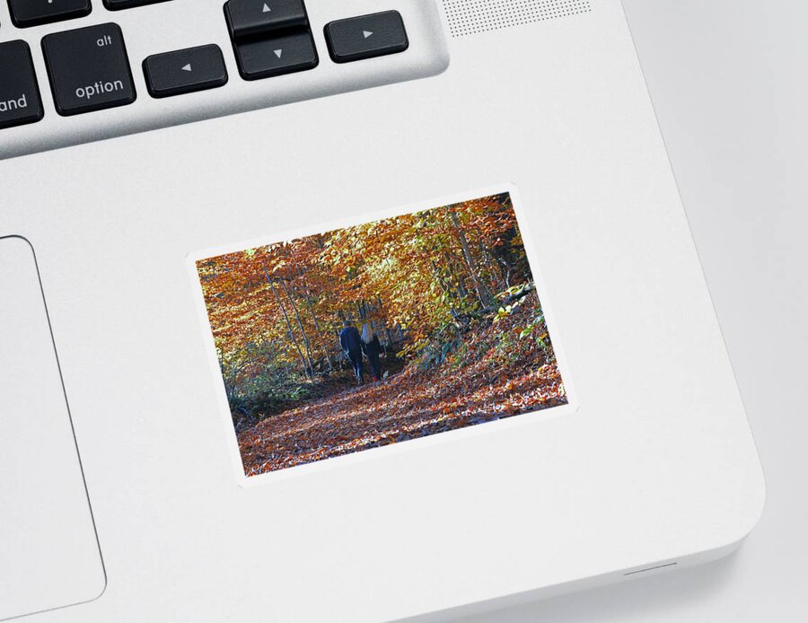 Nature Sticker featuring the photograph A Walk Through the Woods by Allen Beatty