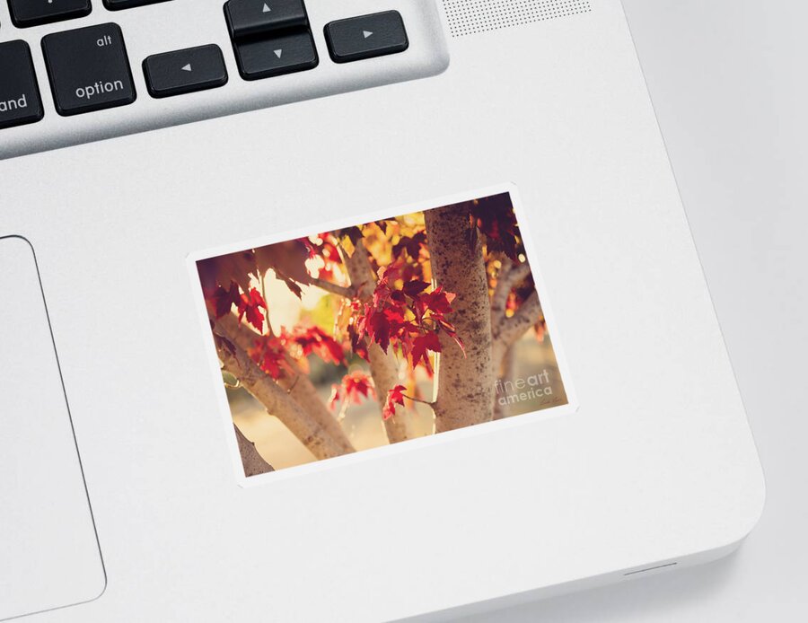 Autumn Sticker featuring the photograph A Warm Red Autumn by Linda Lees