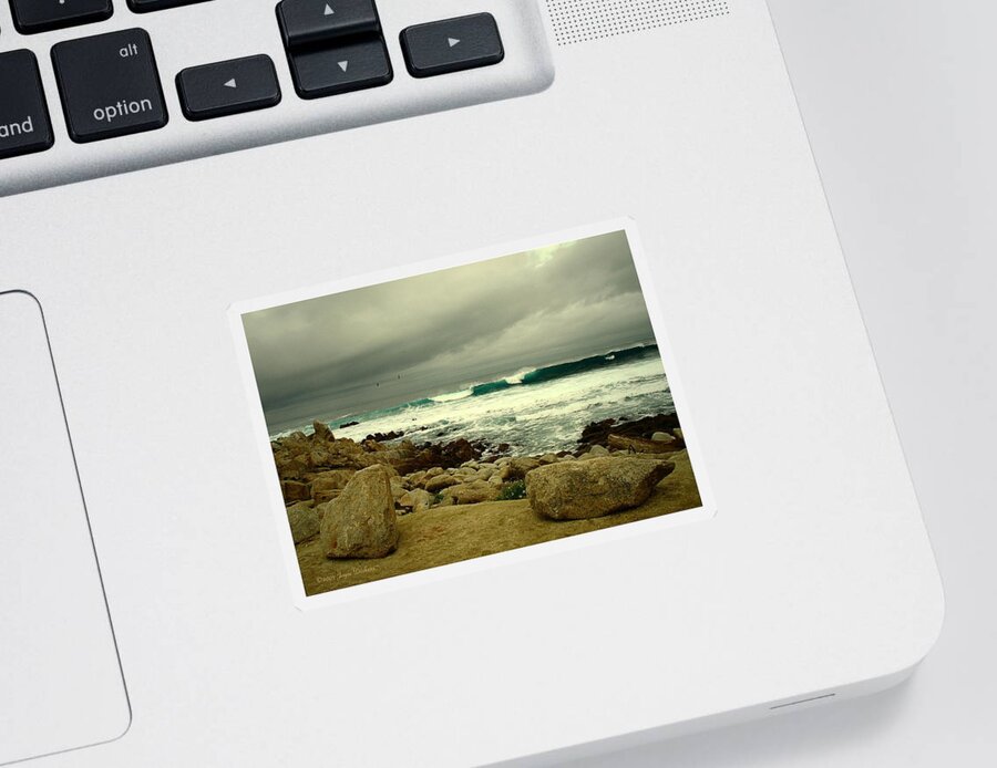 Beach Sticker featuring the photograph A Winter Day At The Beach by Joyce Dickens