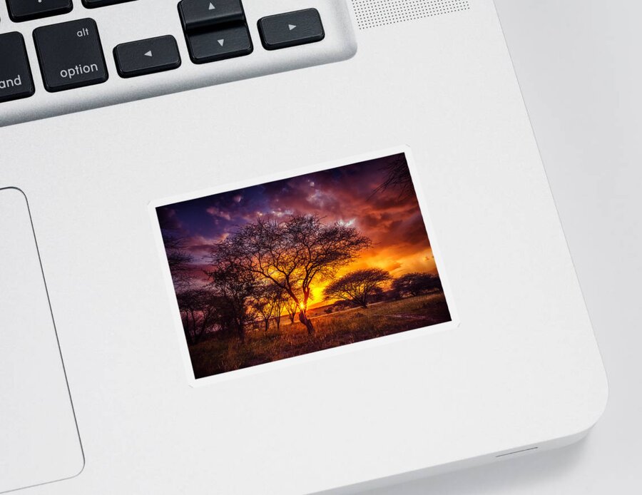 Africa Sticker featuring the photograph A Wish at Sunset by Sylvia J Zarco
