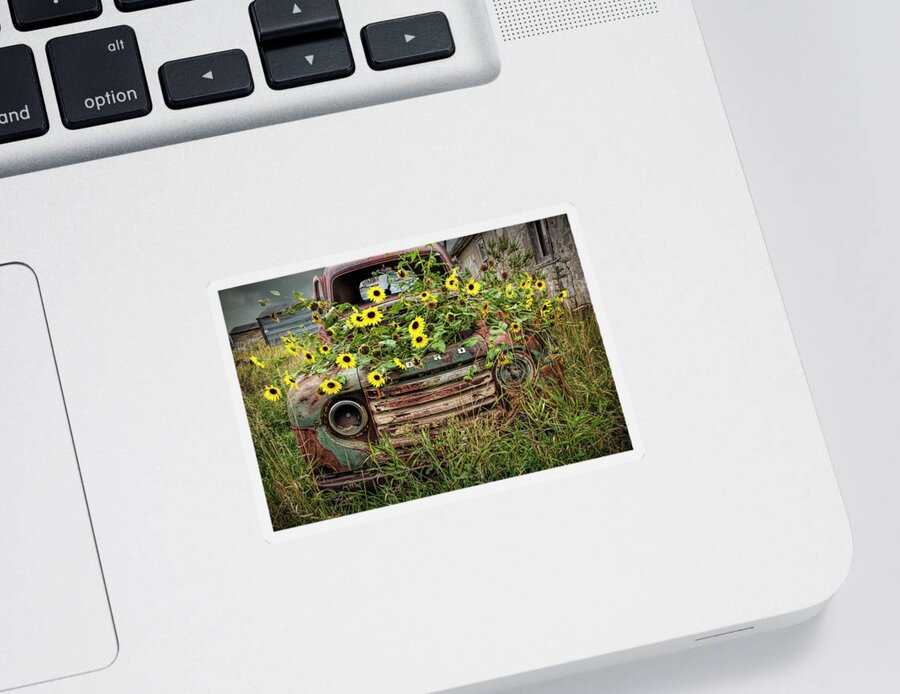 Art Sticker featuring the photograph Abandoned Old Ford Truck with Yellow Flowers in the Ghost Town by Okaton South Dakota by Randall Nyhof