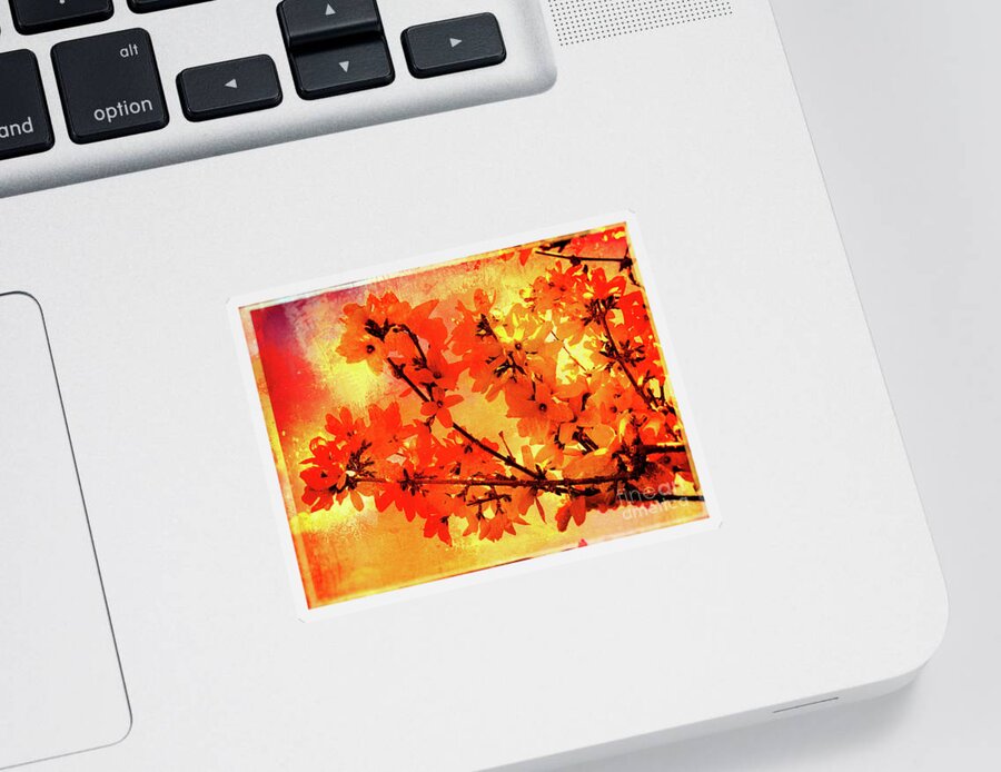 Forsythia Sticker featuring the photograph Abstract Forsythia Flowers by Anita Pollak