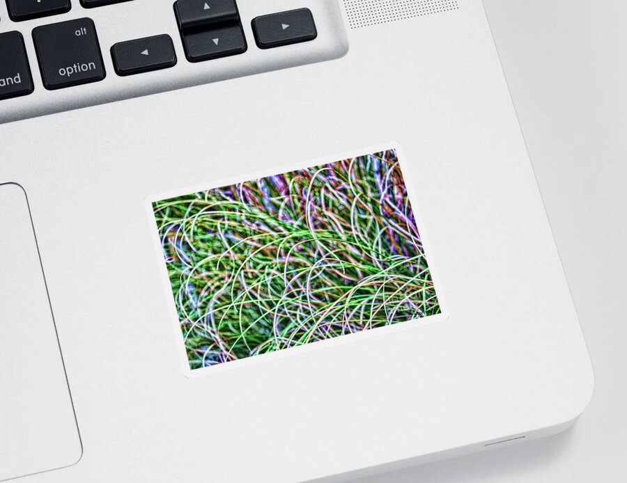 Pompous Grass Sticker featuring the photograph Abstract Grass by Roberta Byram