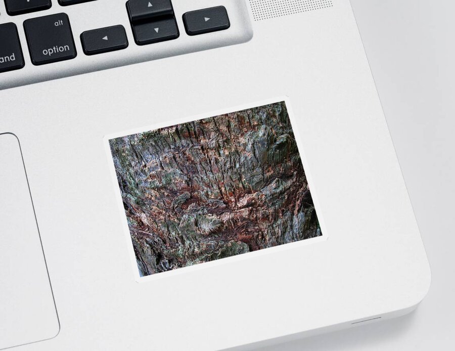 Abstract Sticker featuring the photograph Abstract Tree Bark by Juergen Roth