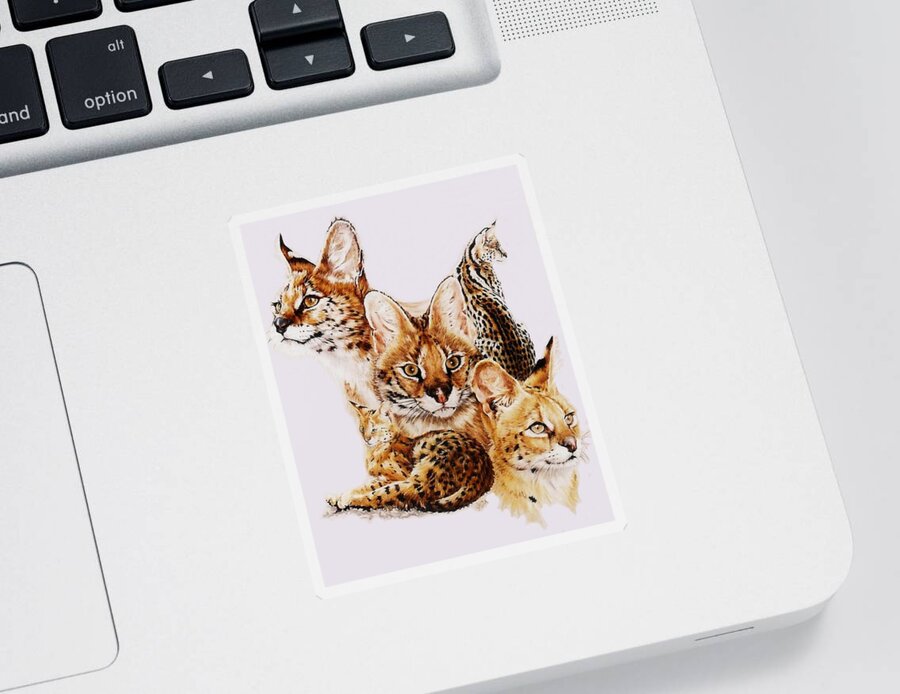 Serval Sticker featuring the drawing Adroit by Barbara Keith