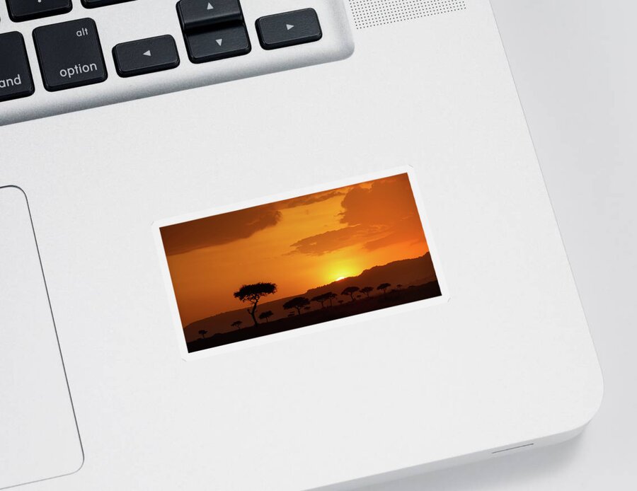 Africa Sticker featuring the photograph African Sunrise by Sebastian Musial