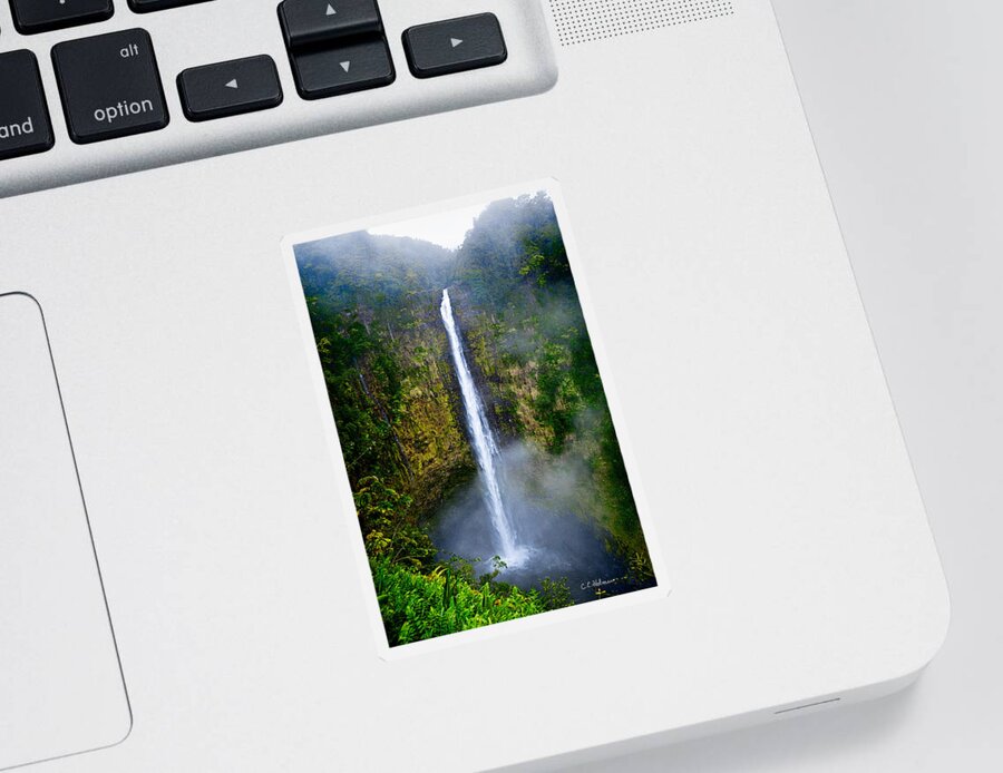 Nature Sticker featuring the photograph Akaka Falls by Christopher Holmes