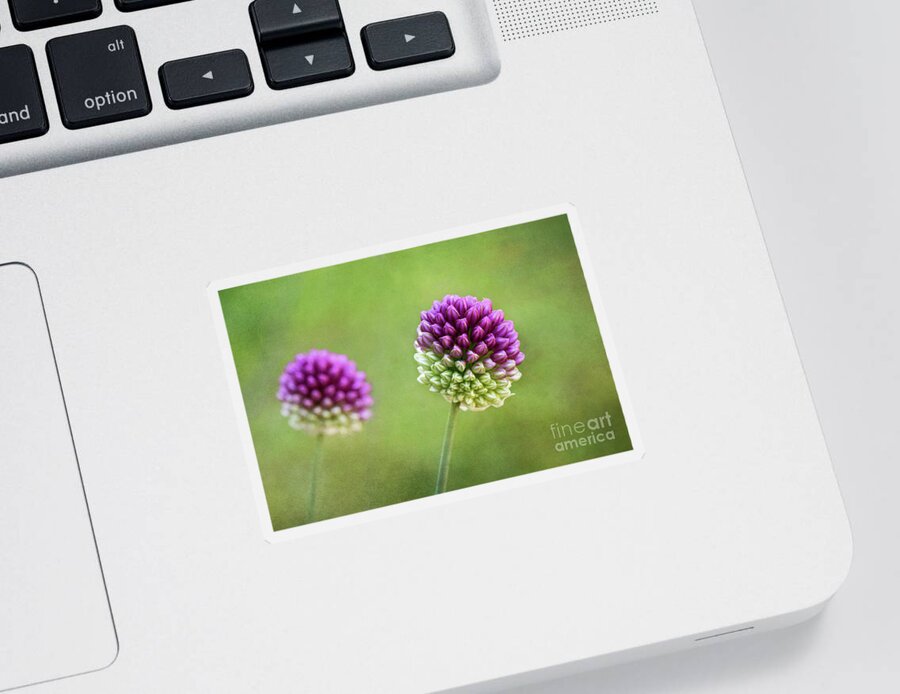 Allium Hollandicum Sticker featuring the digital art Allium Buds by Sharon McConnell