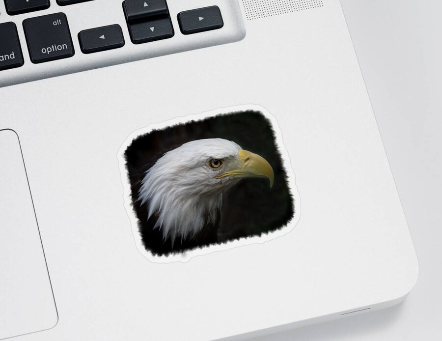Animal Sticker featuring the photograph American Bald Eagle by Ernest Echols