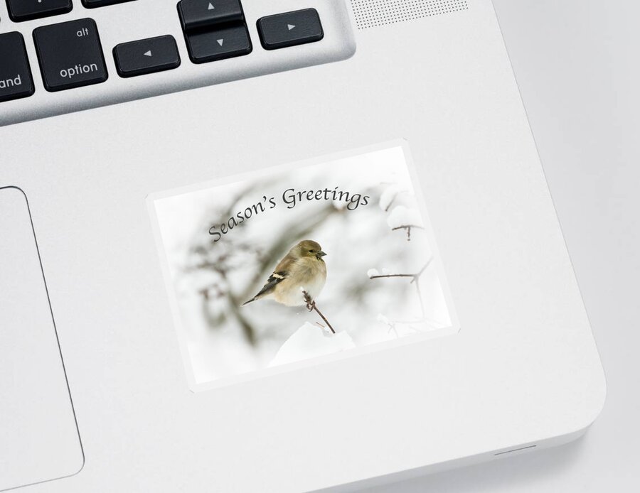 American Goldfinch Sticker featuring the photograph American Goldfinch - Season's Greetings by Holden The Moment
