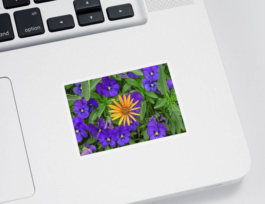Flower Sticker featuring the photograph An Aureole Of Sublime Beauty by Bijan Pirnia