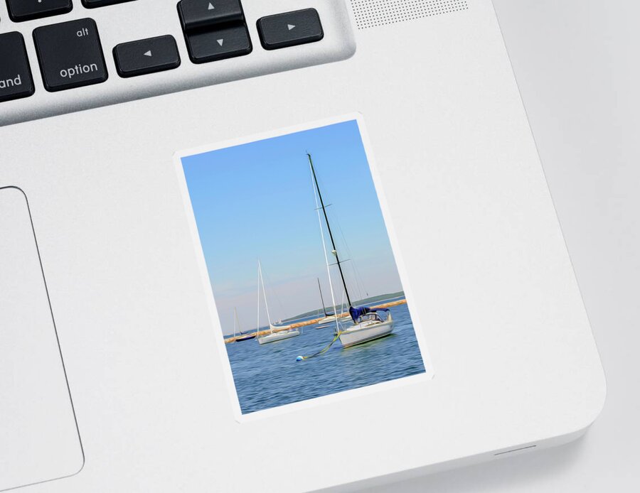 Harbor Sticker featuring the photograph Anchored by Keith Armstrong