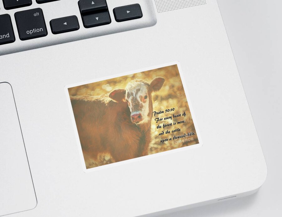 Cow Sticker featuring the photograph And The Cattle by Janice Pariza