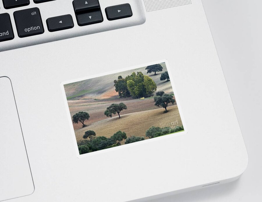Landscape Sticker featuring the photograph Andalusian Meadows 1 by Heiko Koehrer-Wagner