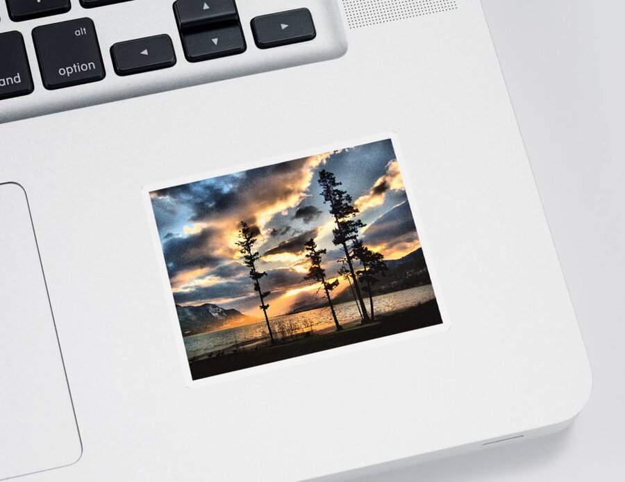 Sunset Sticker featuring the photograph Anniversary by Kathy Bassett