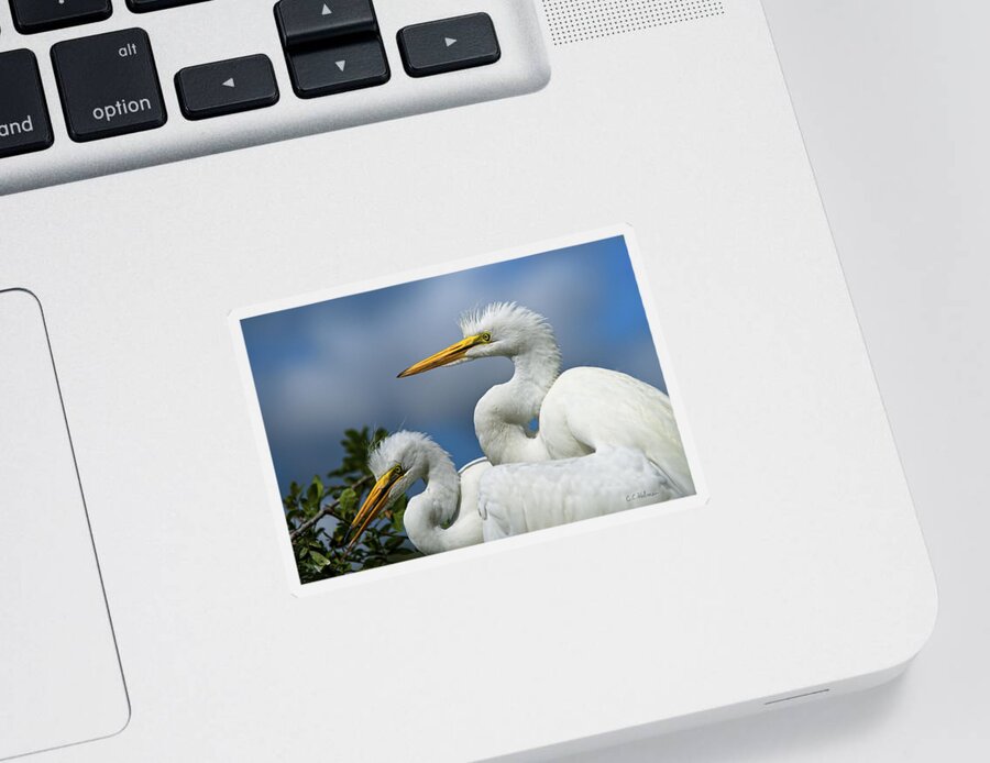 Egret Sticker featuring the photograph Anxiously Waiting by Christopher Holmes