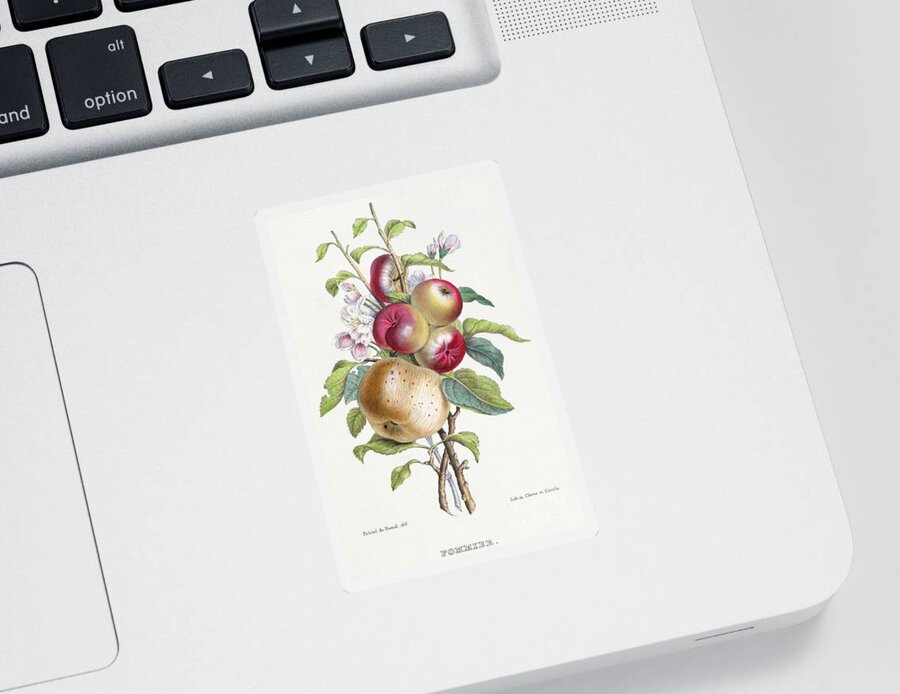 Apple Sticker featuring the painting Apple Tree by JB Pointel du Portail