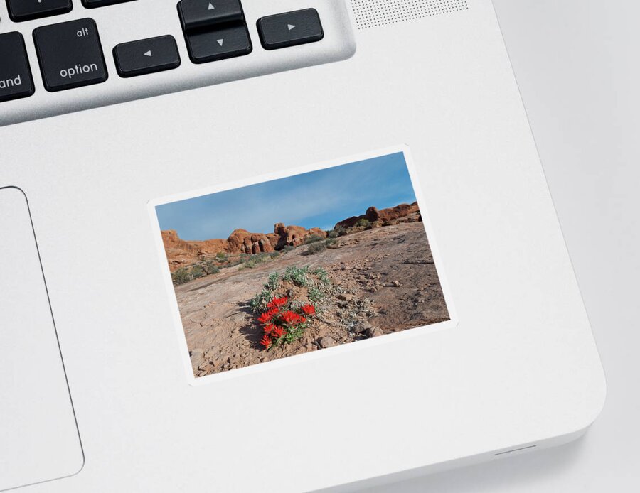 Arches National Park Sticker featuring the photograph Arches National Park Indian Paintbrush Landscape by Cascade Colors
