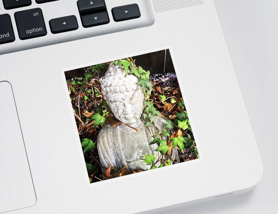 Buddha Sticker featuring the photograph As One by Denise Railey