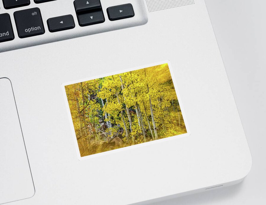 Fall Sticker featuring the photograph Aspen Autumn Burst by Bill Gallagher