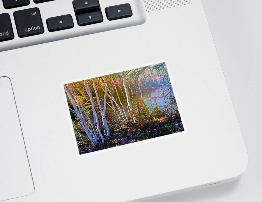 Trees Sticker featuring the digital art Aspen trees in the fall by Tatiana Travelways