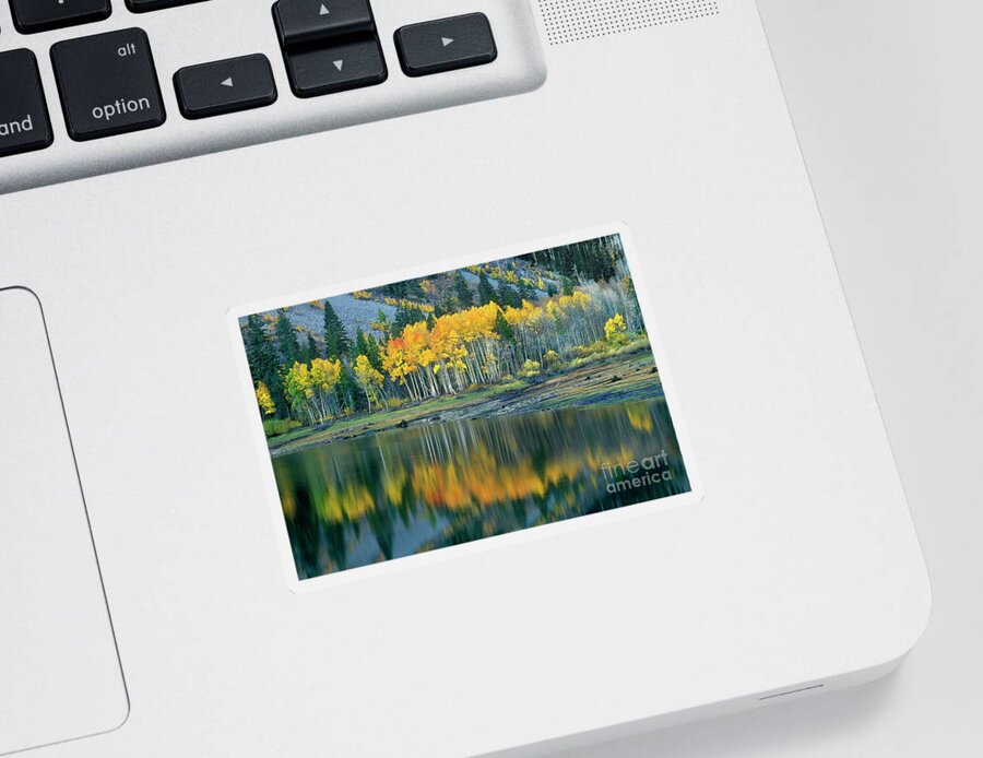 Dave Welling Sticker featuring the photograph Aspens In Fall Color Along Lundy Lake Eastern Sierras California by Dave Welling