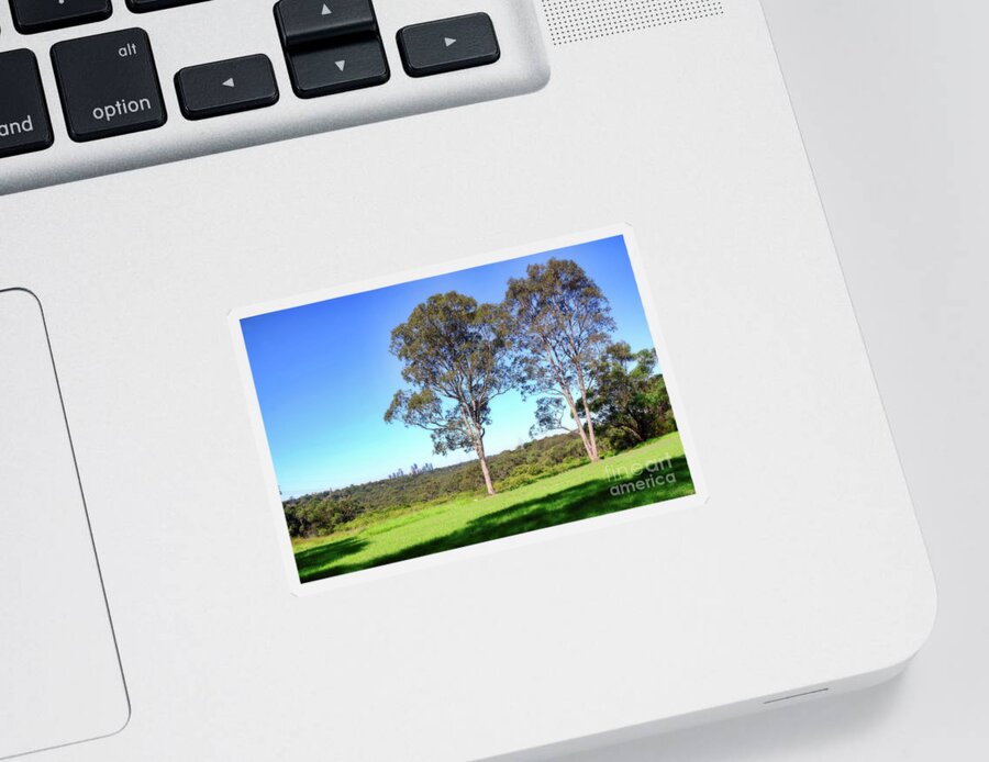 Aussie Gum Tree Landscape Sticker featuring the photograph Aussie Gum Tree Landscape by Kaye Menner by Kaye Menner