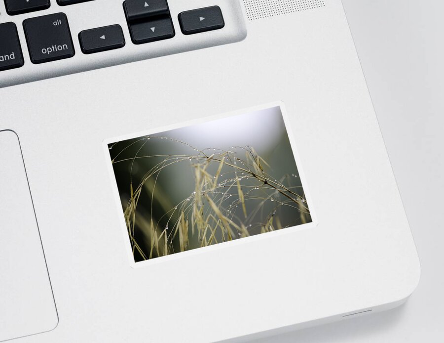 Autumn Sticker featuring the photograph Autumn dew on grass by Spikey Mouse Photography