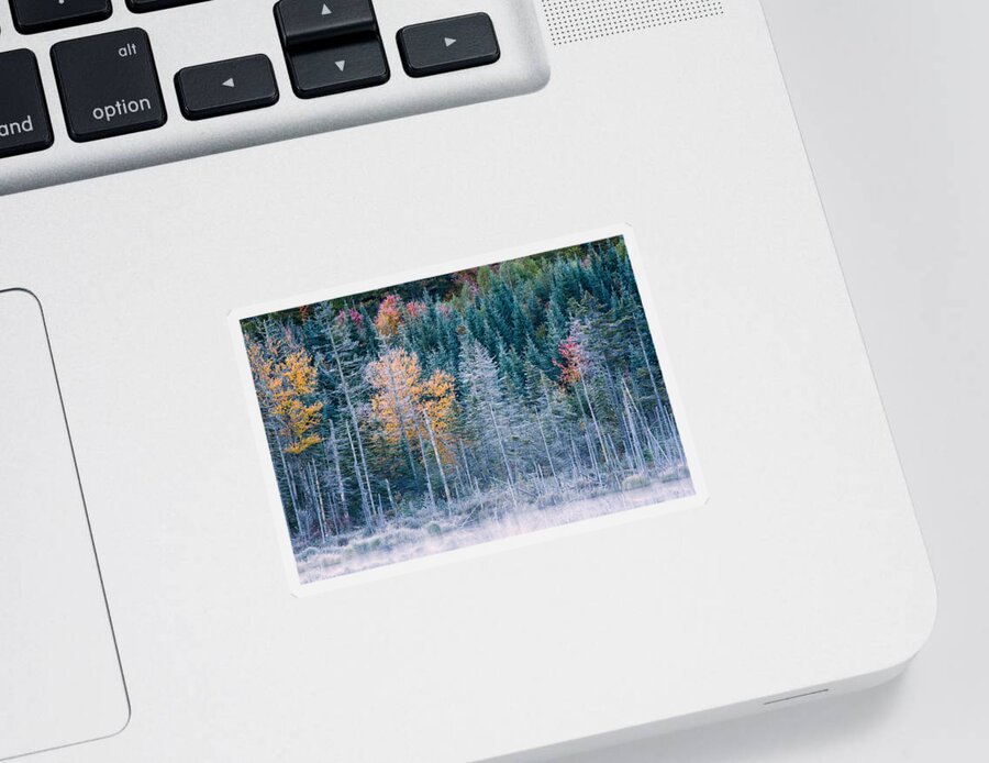 Autumn Sticker featuring the photograph Autumn Frost by Jeff Sinon