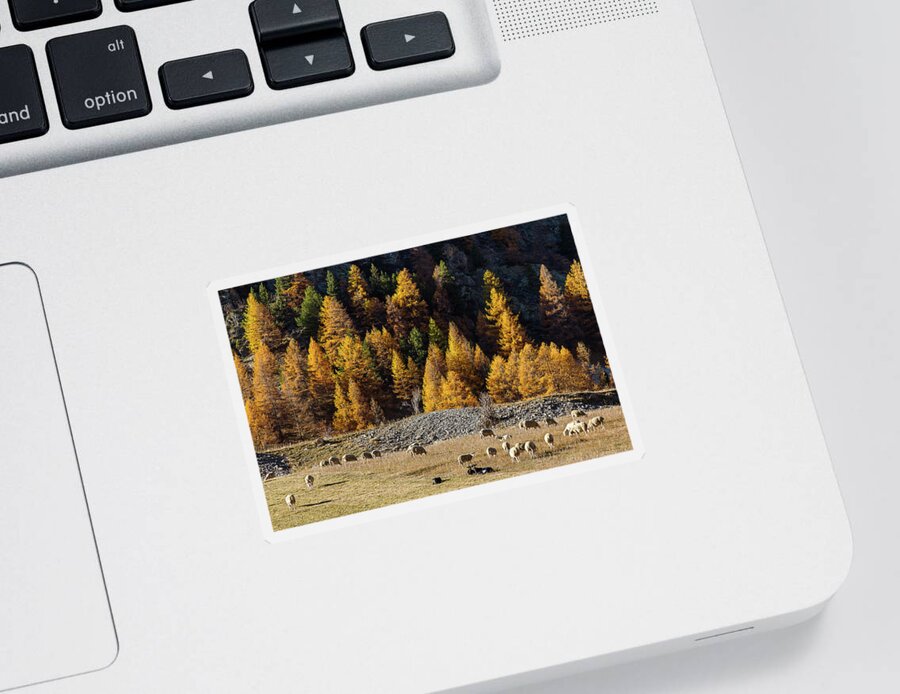 Colors Of Fall Sticker featuring the photograph Autumn in French Alps - 17 by Paul MAURICE