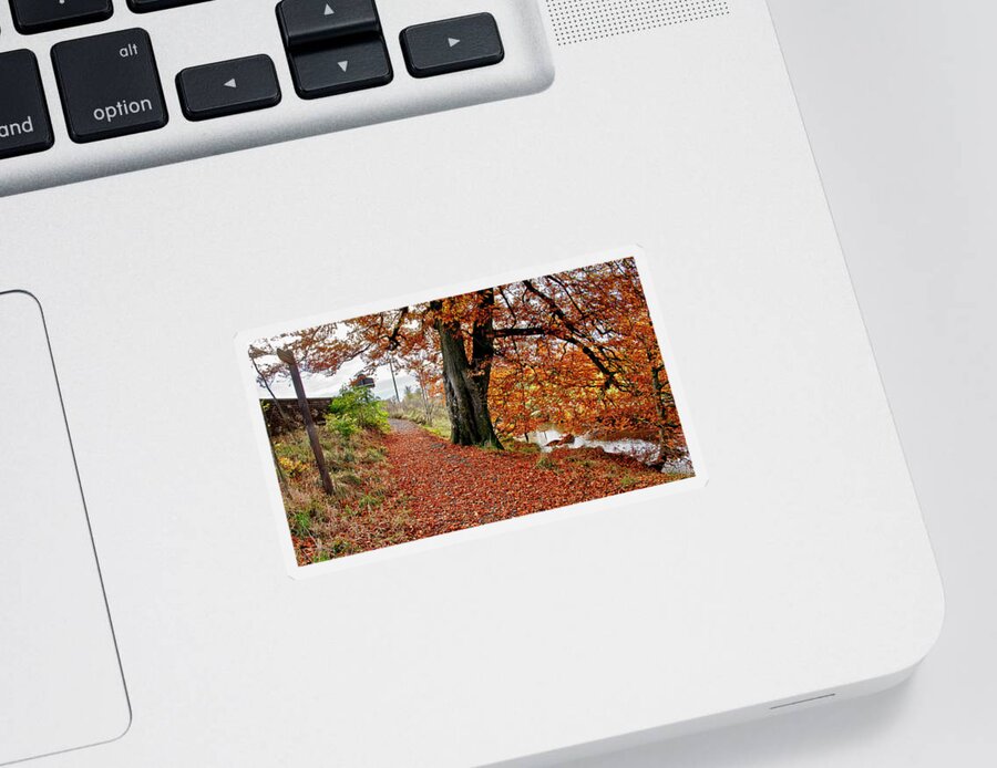 Autumn Sticker featuring the photograph Autumn in Polkemmet by Elena Perelman
