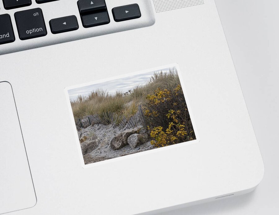 Andrew Pacheco Sticker featuring the photograph Autumn in the Dunes by Andrew Pacheco
