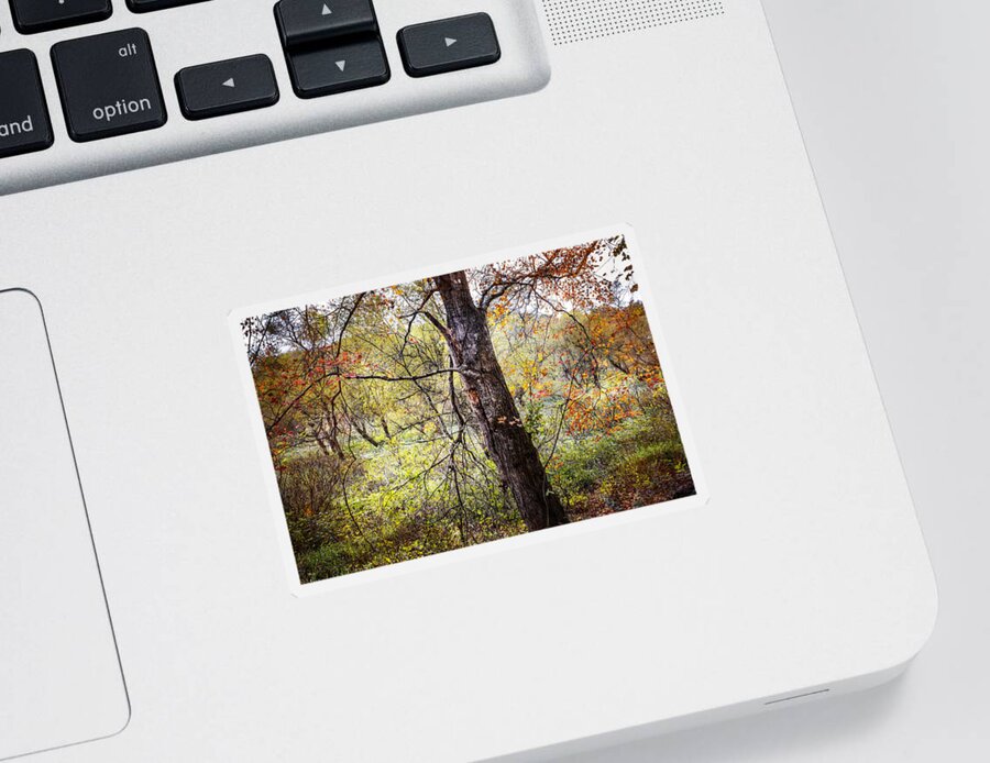 Appalachia Sticker featuring the photograph Autumn Meadow by Debra and Dave Vanderlaan