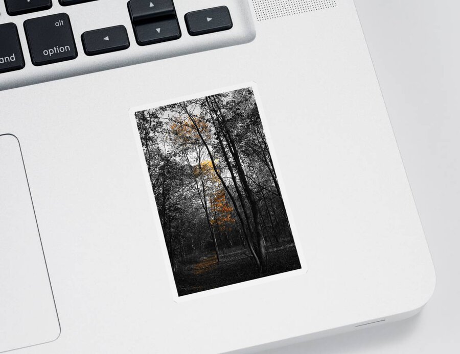 Autumn Morning Sticker featuring the photograph Autumn Morning by Dylan Punke