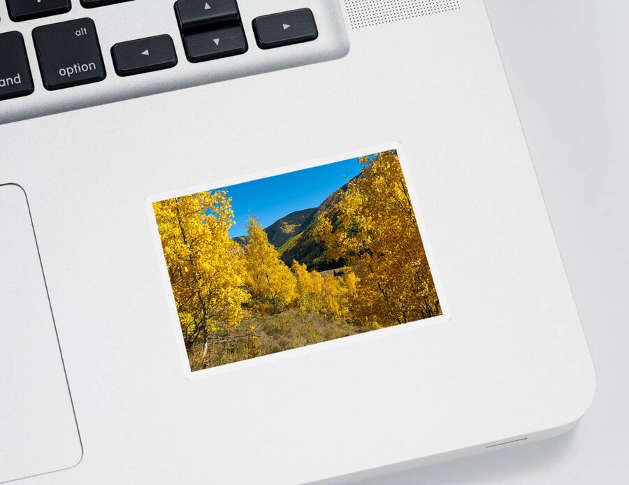 Autumn Sticker featuring the photograph Autumn Mountains Framed by Aspen by Cascade Colors