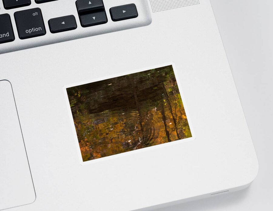 Terry D Photography Sticker featuring the photograph Autumn Ripples Abstract by Terry DeLuco
